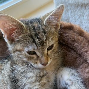 Meet your Posher, Luka